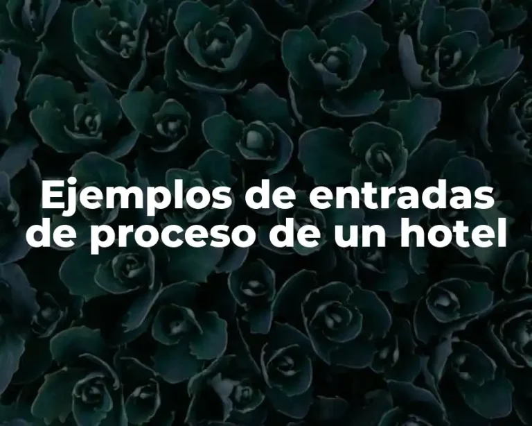 Ejemplos de entradas de proceso de un hotel