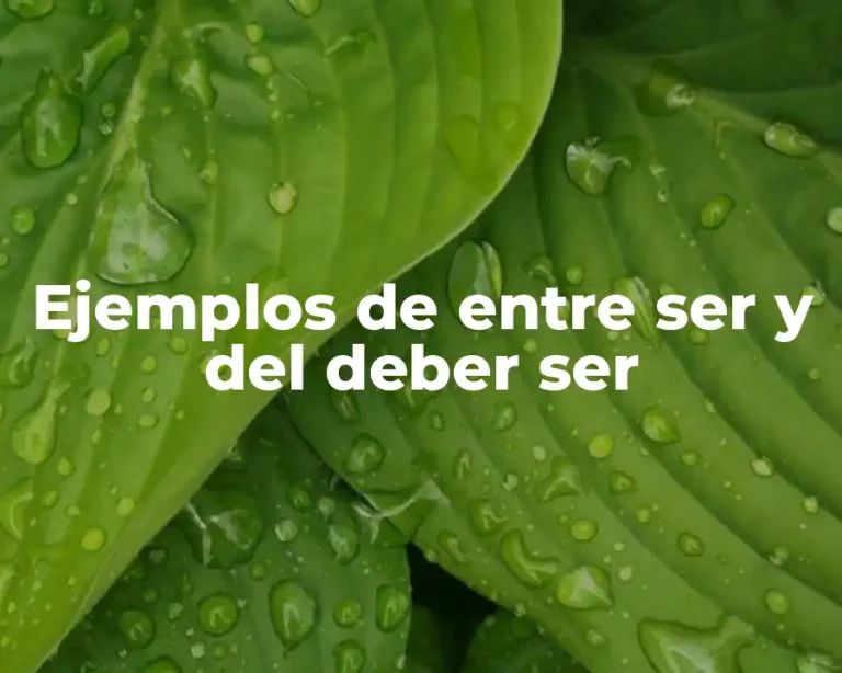 Ejemplos de entre ser y del deber ser