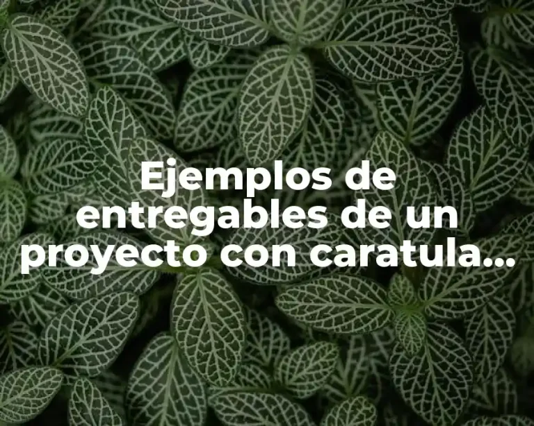 Ejemplos de entregables de un proyecto con caratula, indice, etc.