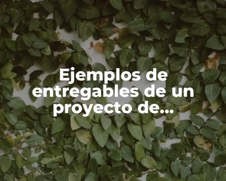 Ejemplos de entregables de un proyecto de investigación