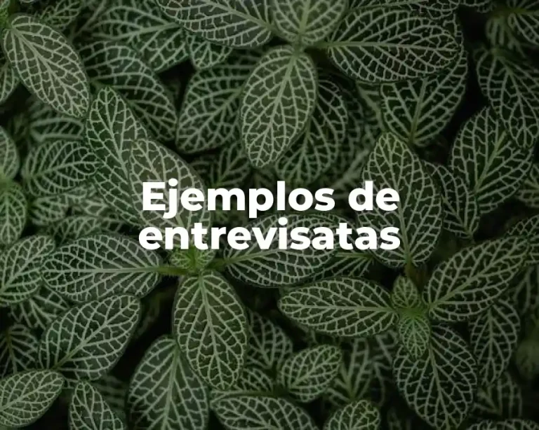Ejemplos de entrevisatas