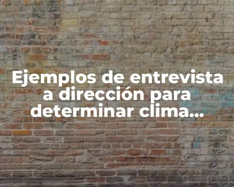 Ejemplos de entrevista a dirección para determinar clima laboral