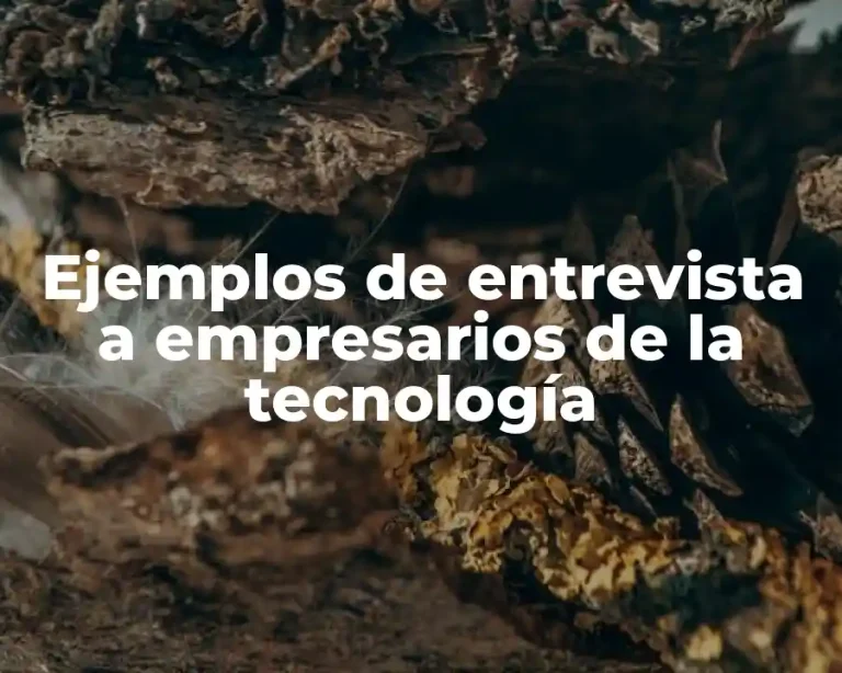 Ejemplos de entrevista a empresarios de la tecnología