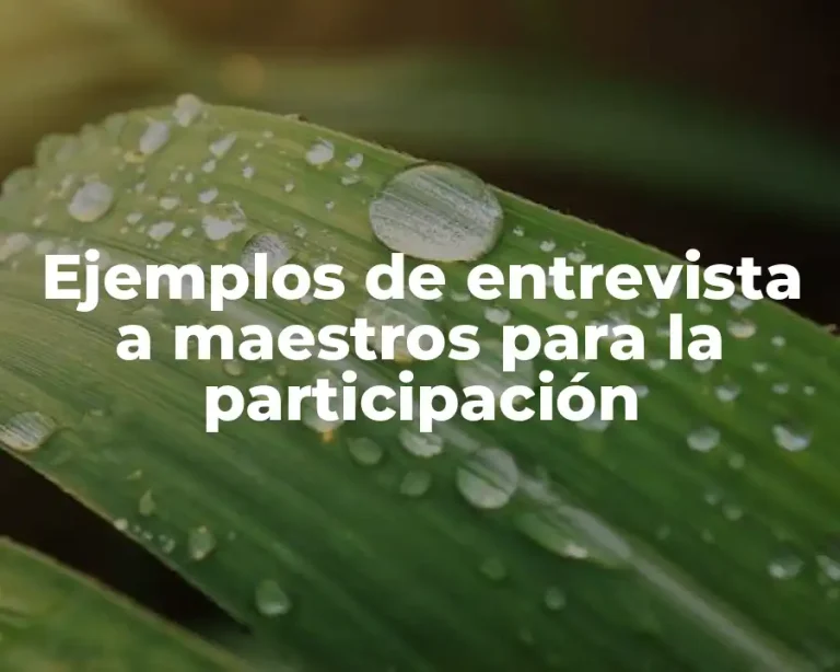 Ejemplos de entrevista a maestros para la participación