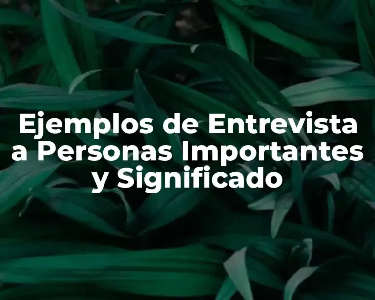 Ejemplos de Entrevista a Personas Importantes y Significado