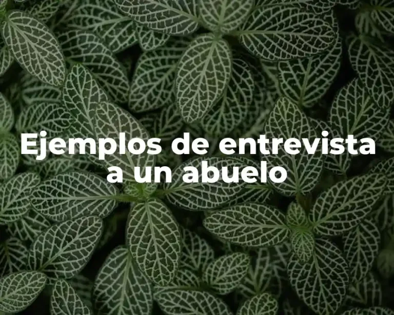 Ejemplos de entrevista a un abuelo