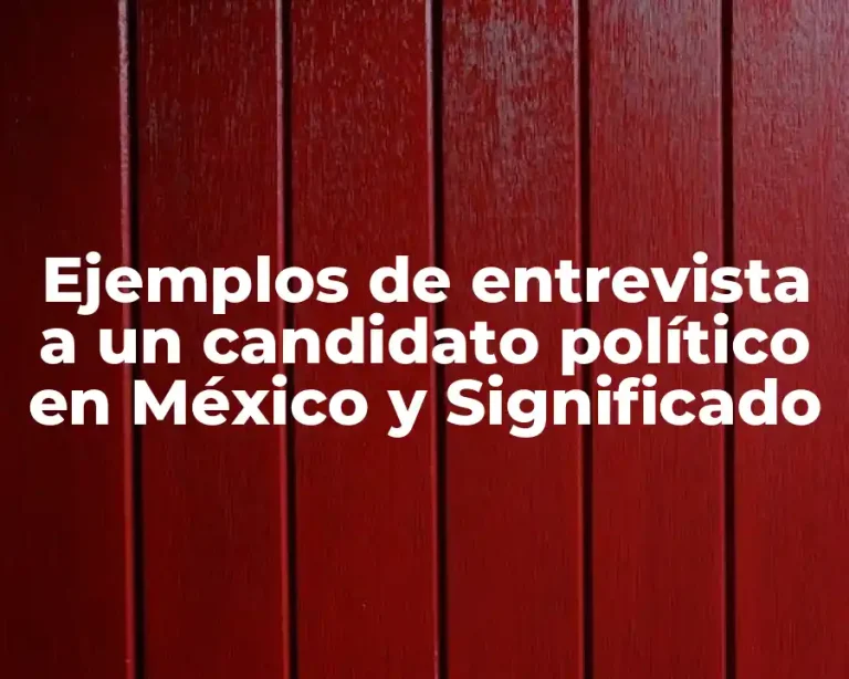 Ejemplos de entrevista a un candidato político en México y Significado