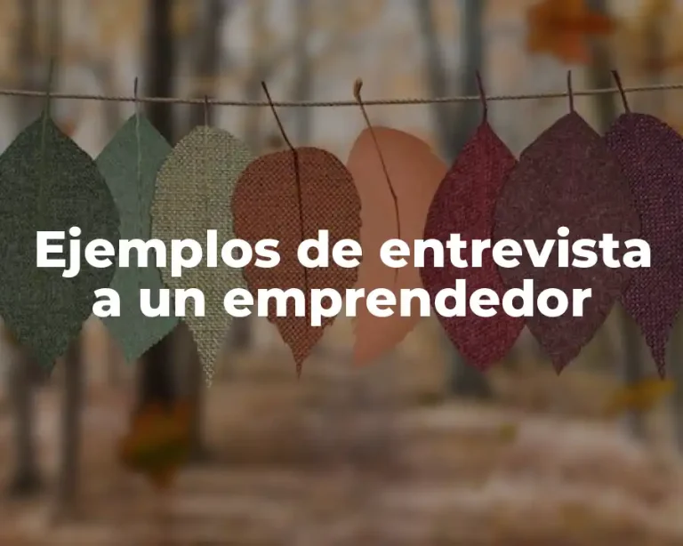 Ejemplos de entrevista a un emprendedor