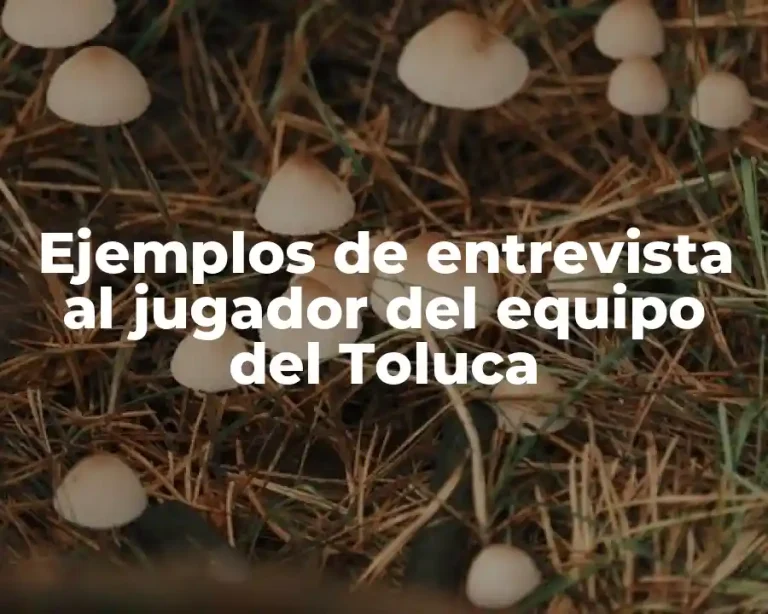 Ejemplos de entrevista al jugador del equipo del Toluca