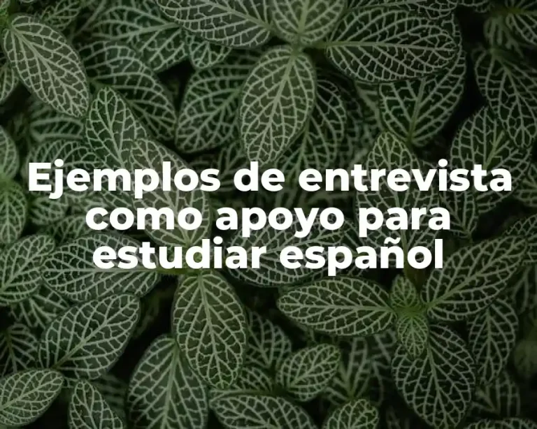Ejemplos de entrevista como apoyo para estudiar español