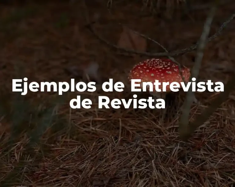 Ejemplos de Entrevista de Revista