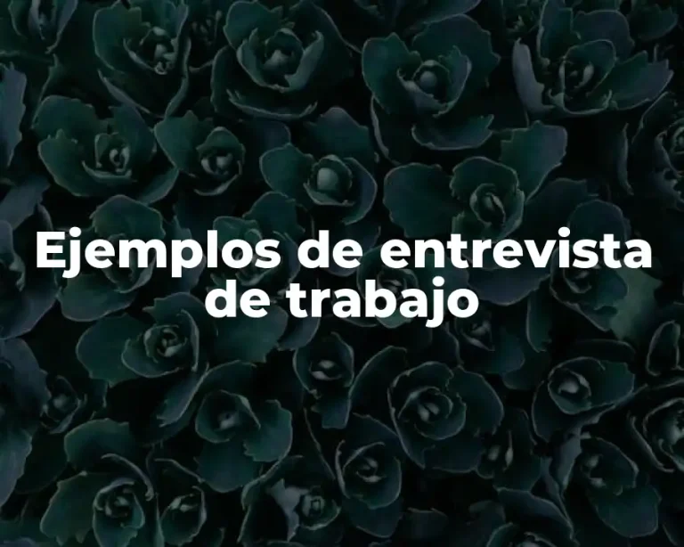 Ejemplos de entrevista de trabajo
