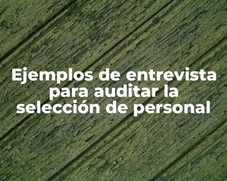 Ejemplos de entrevista para auditar la selección de personal