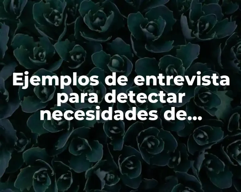 Ejemplos de entrevista para detectar necesidades de capacitación