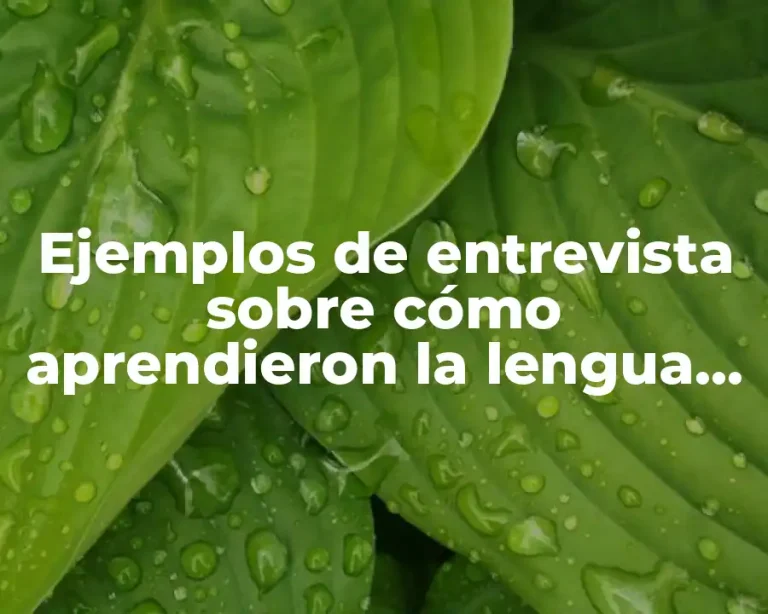 Ejemplos de entrevista sobre cómo aprendieron la lengua materna