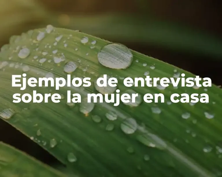 Ejemplos de entrevista sobre la mujer en casa