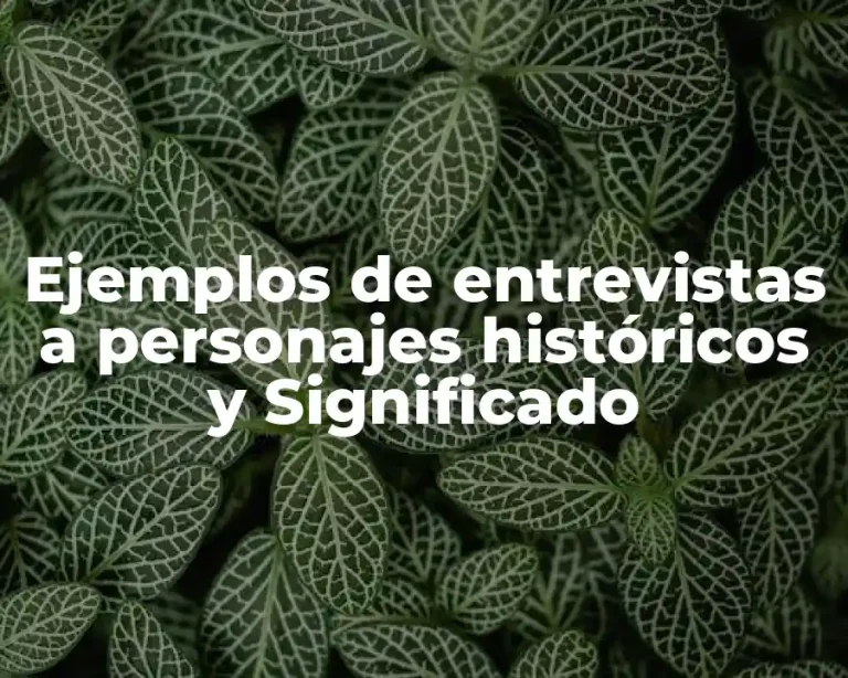 Ejemplos de entrevistas a personajes históricos y Significado