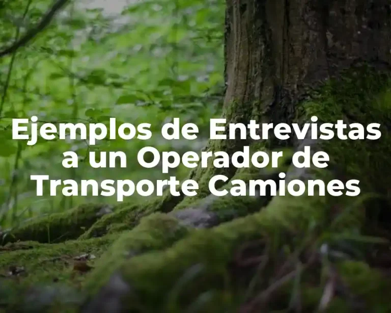 Ejemplos de Entrevistas a un Operador de Transporte Camiones