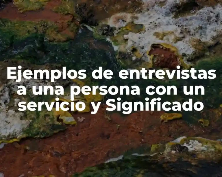Ejemplos de entrevistas a una persona con un servicio y Significado