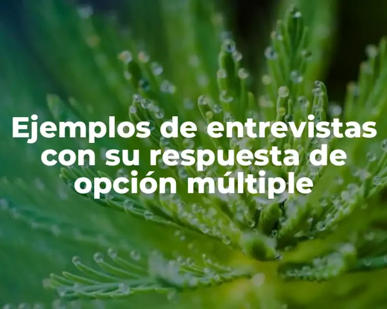 Ejemplos de entrevistas con su respuesta de opción múltiple