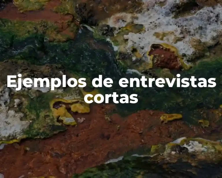 Ejemplos de entrevistas cortas