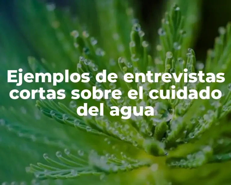 Ejemplos de entrevistas cortas sobre el cuidado del agua