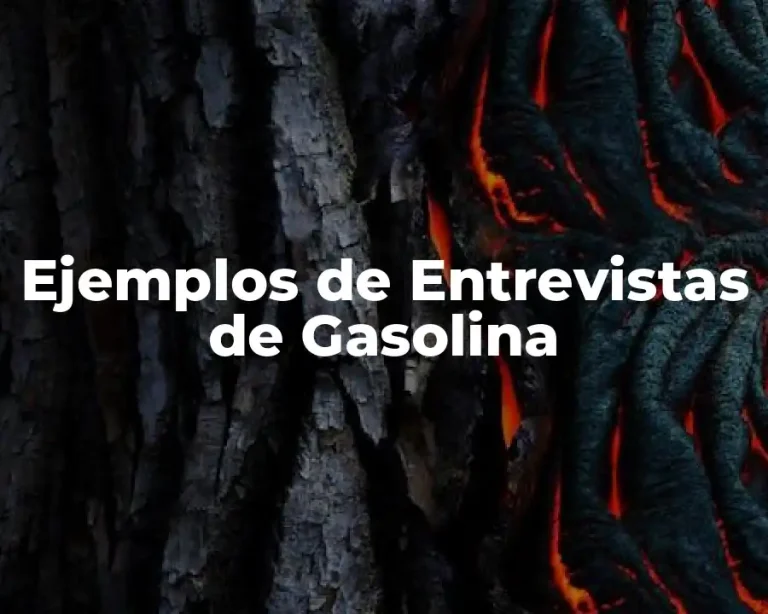 Ejemplos de Entrevistas de Gasolina