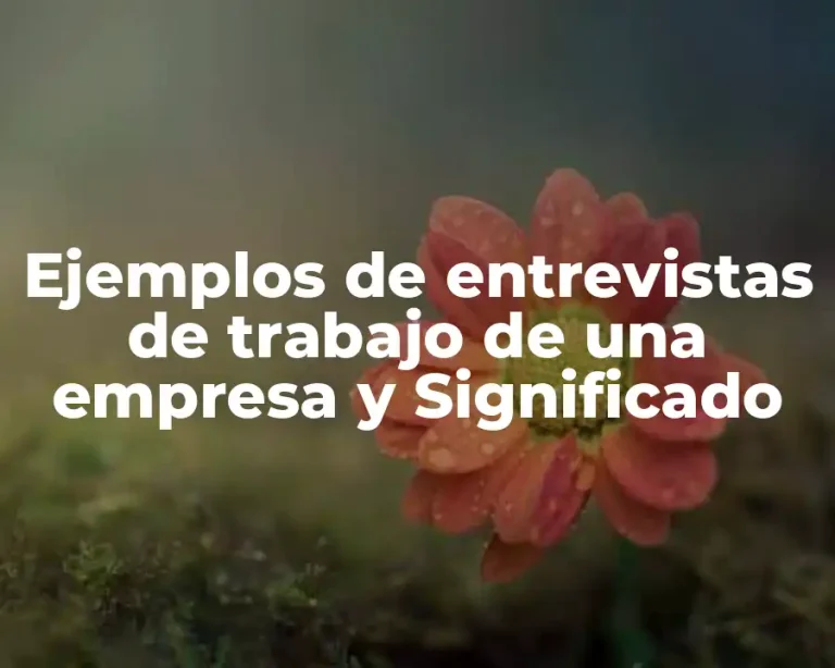 Ejemplos de entrevistas de trabajo de una empresa y Significado