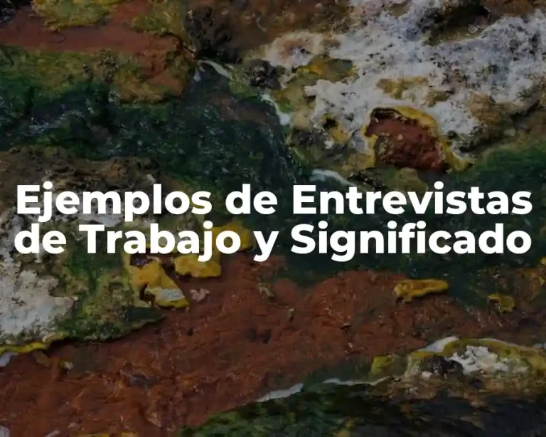 Ejemplos de Entrevistas de Trabajo y Significado