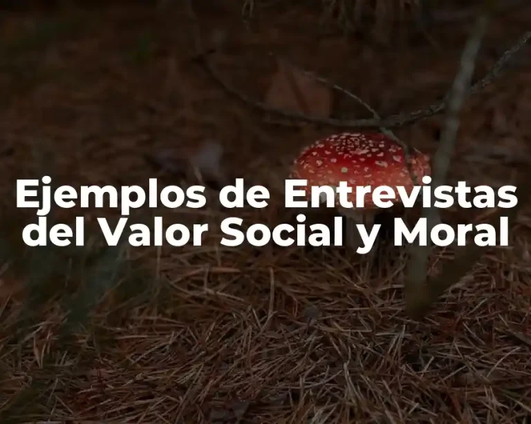 Ejemplos de Entrevistas del Valor Social y Moral