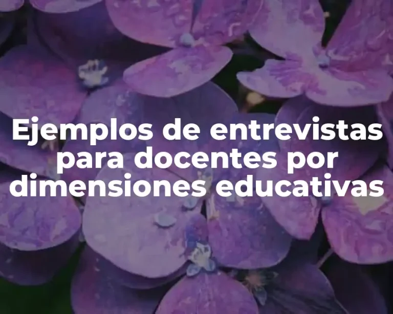 Ejemplos de entrevistas para docentes por dimensiones educativas