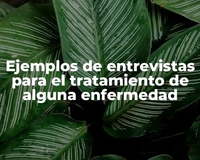 Ejemplos de entrevistas para el tratamiento de alguna enfermedad