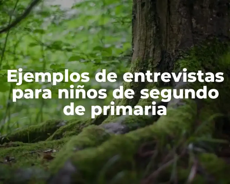Ejemplos de entrevistas para niños de segundo de primaria