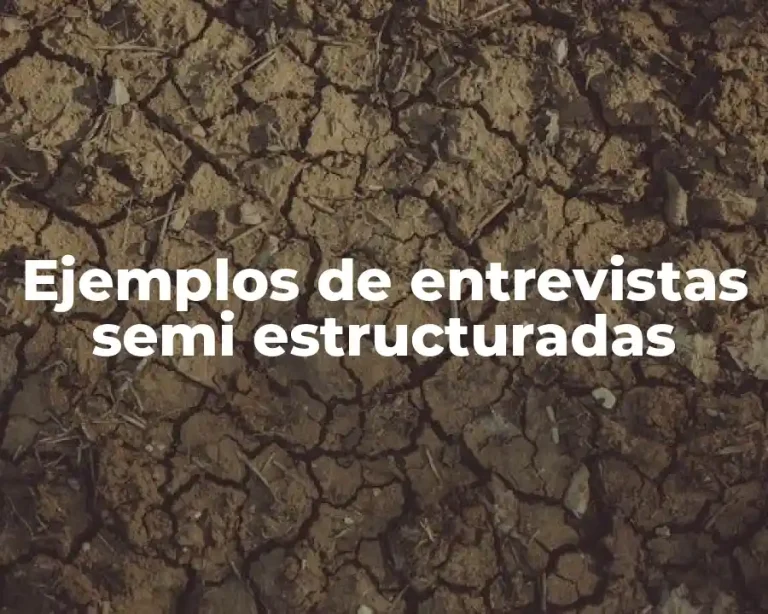 Ejemplos de entrevistas semi estructuradas