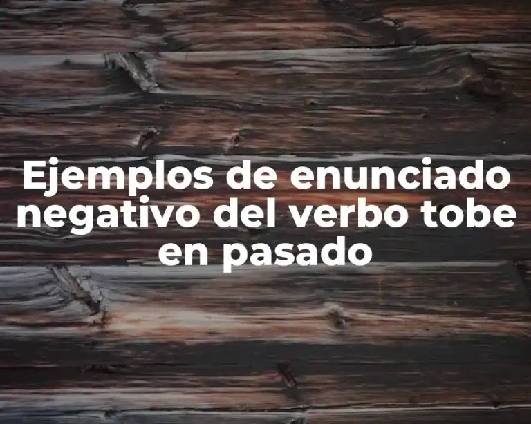 Ejemplos de enunciado negativo del verbo tobe en pasado