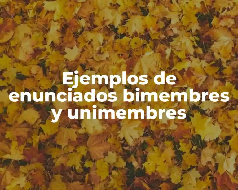 Ejemplos de enunciados bimembres y unimembres
