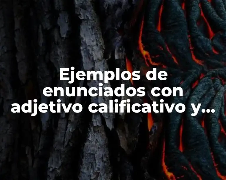 Ejemplos de enunciados con adjetivo calificativo y Significado