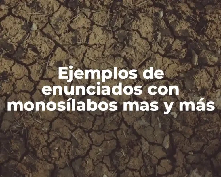 Ejemplos de enunciados con monosílabos mas y más