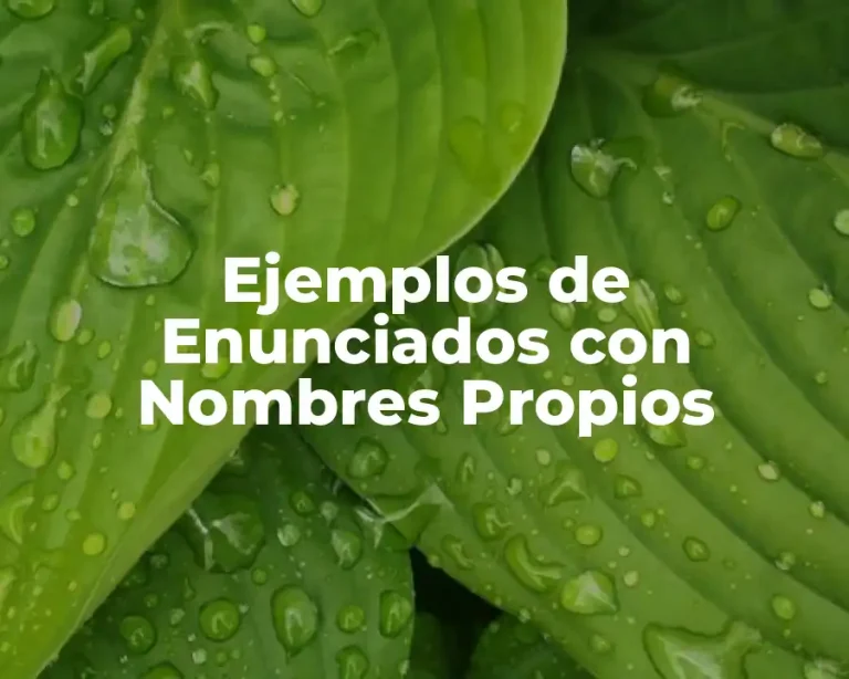Ejemplos de Enunciados con Nombres Propios