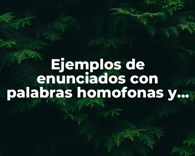 Ejemplos de enunciados con palabras homofonas y Significado