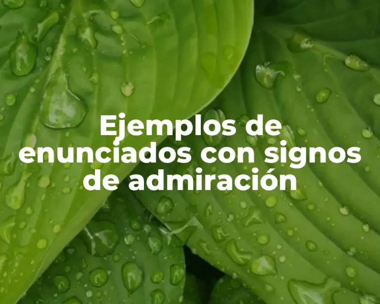 Ejemplos de enunciados con signos de admiración