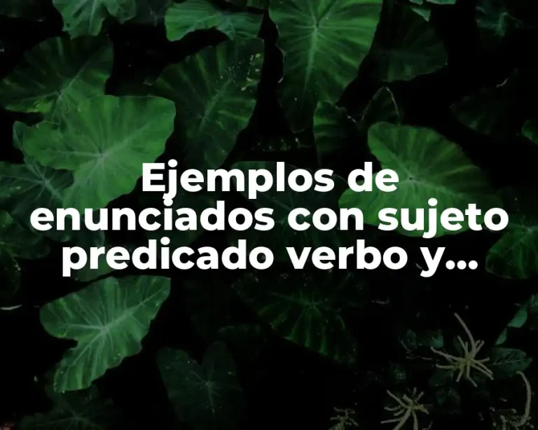 Ejemplos de enunciados con sujeto predicado verbo y adjetivo calificativo