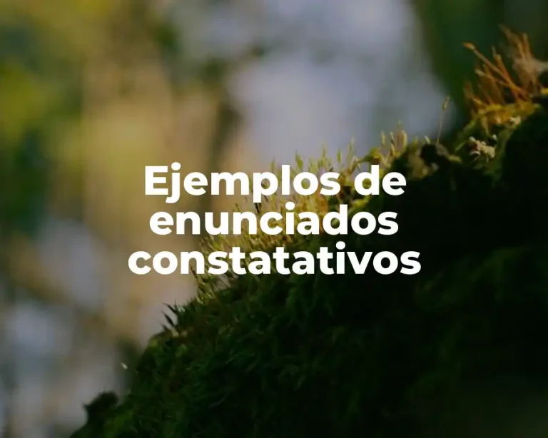 Ejemplos de enunciados constatativos