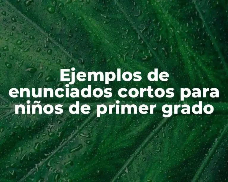 Ejemplos de enunciados cortos para niños de primer grado