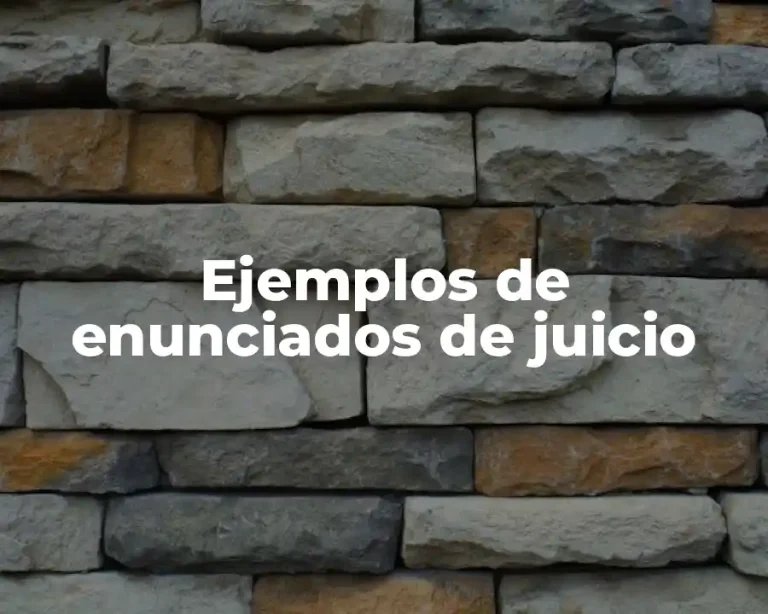 Ejemplos de enunciados de juicio
