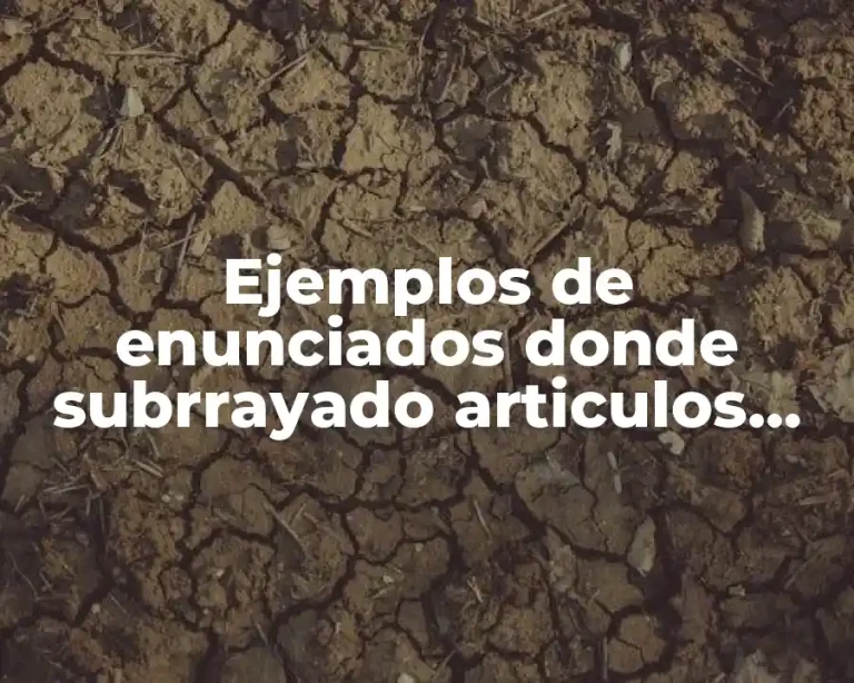 Ejemplos de enunciados donde subrrayado articulos sustantivos y adjetivos