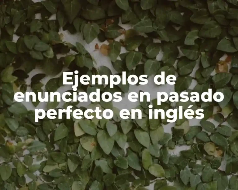 Ejemplos de enunciados en pasado perfecto en inglés