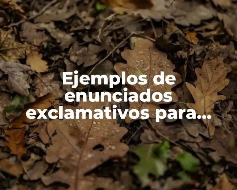 Ejemplos de enunciados exclamativos para niños de primaria y Significado