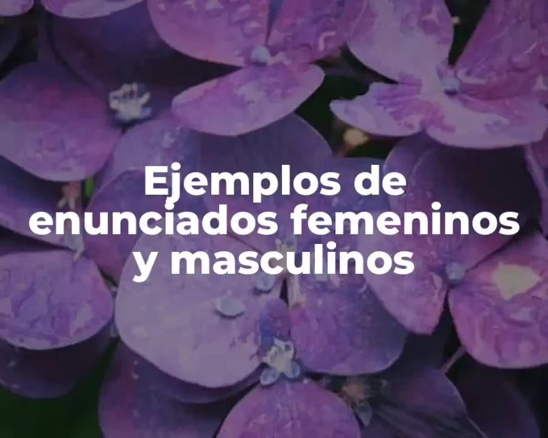 Ejemplos de enunciados femeninos y masculinos