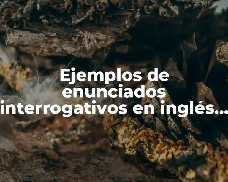Ejemplos de enunciados interrogativos en inglés usando palabras con wh